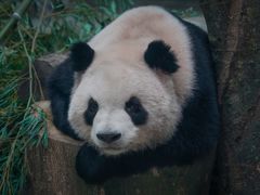 -杭州动物园