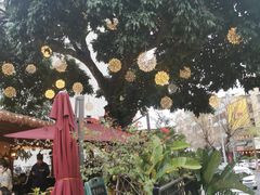 -泰堤坊(淡水体育馆店)