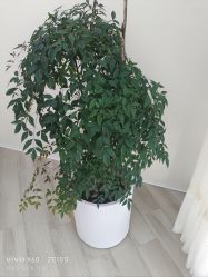 -HEYAN荷妍专业脱毛连锁机构