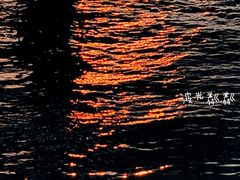 -演武大桥观景平台