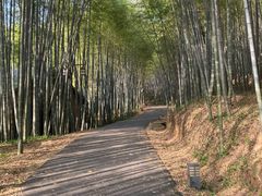 -苏州环秀晓筑养生度假村