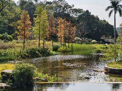 -云溪植物园