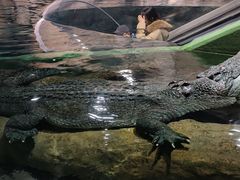 -上海海洋水族馆