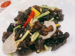 养生木耳-顺德人家食府(黄金广场店)