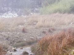 -浙西天池景区