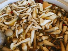 菌汤-珍品轩鲜菌火锅(眉山店)