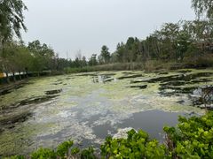 -北戴河圣蓝海洋公园