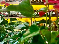 -小蕃茄意大利餐厅(开发区时尚天街店)