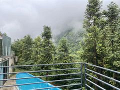 -南山植物园