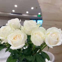 -酉嘉瑜伽YO+YOGA