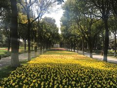 -上海鲜花港