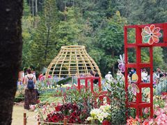 -深圳仙湖植物园