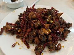 干煸鸡-田记餐馆(富国街店)