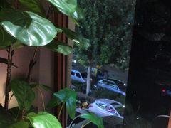 -三强鸽子(中原路店)