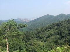 -金龙寺国家森林公园