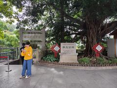 -官塘兄弟·潮汕牛肉店(官塘总店)