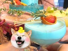 -blue frog蓝蛙(长泰广场店)