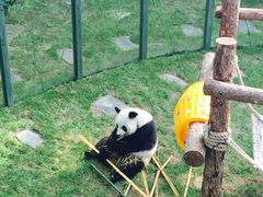 -大连森林动物园