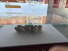 -中国西峡恐龙遗迹园