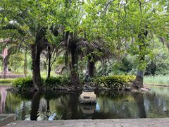 -墨尔本皇家植物园