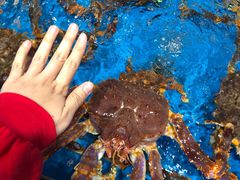 -盒马鲜生(大行宫店)