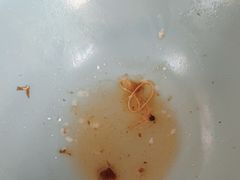 -京城北门羊蝎子铜锅涮肉(总店)