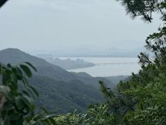 -十里琅珰