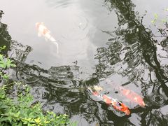 -杭州西湖柳莺里酒店