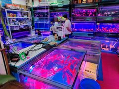 -三旗百汇商品城