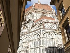 -圣母百花大教堂穹顶