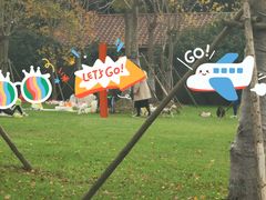 -上海海湾国家森林公园