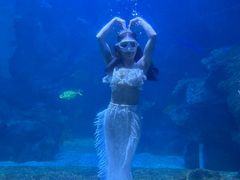 -左海海底世界
