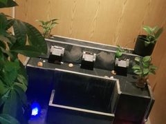 -崇英经络足疗(曲江店)