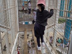 -季高兔窝窝亲子园(上海薰衣草公园店)