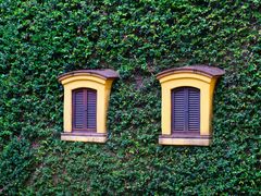 -三鹰之森吉卜力美术馆