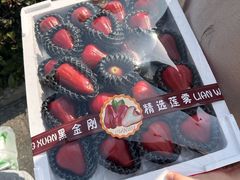 -西郊国际农产品交易中心