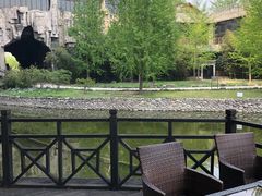 -北京民族园葉子里酒店(鸟巢店)