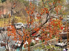 -田园印象·成都土菜院子(华阳店)