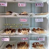 在南京吃了N次的串串店‼️聚餐首选🙋‍♀️