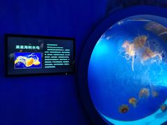-泉城欧乐堡海洋极地世界