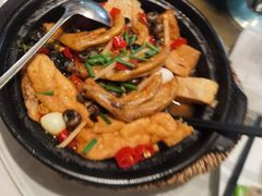 -金龙寨(龙城路店)