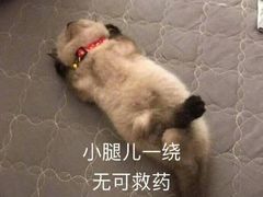 -沈家门渔港