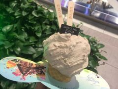 -野人先生现做冰淇淋(西安赛格店)