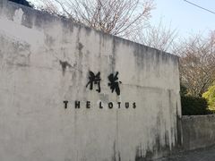 -几荷·恰似故人来(秀水广场店)