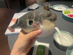 -肆月河豚·淮扬菜·湘菜(华天店)