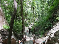 -大岭沟猕猴桃谷风景区