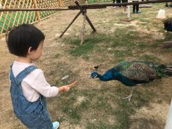 -萌宠亲子动物乐园(槐房万达店)