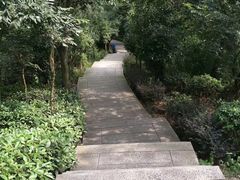 -巢湖姥山岛