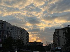 -西湖外事游船(湖滨二公园外事游船码头)