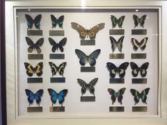 -上海昆虫博物馆